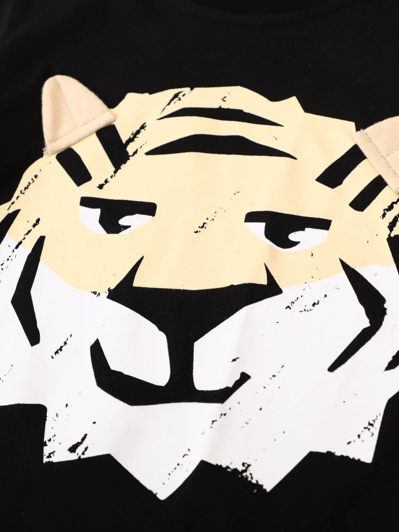 Children's Tiger Graphic Short Sleeve Tee and Shorts Set