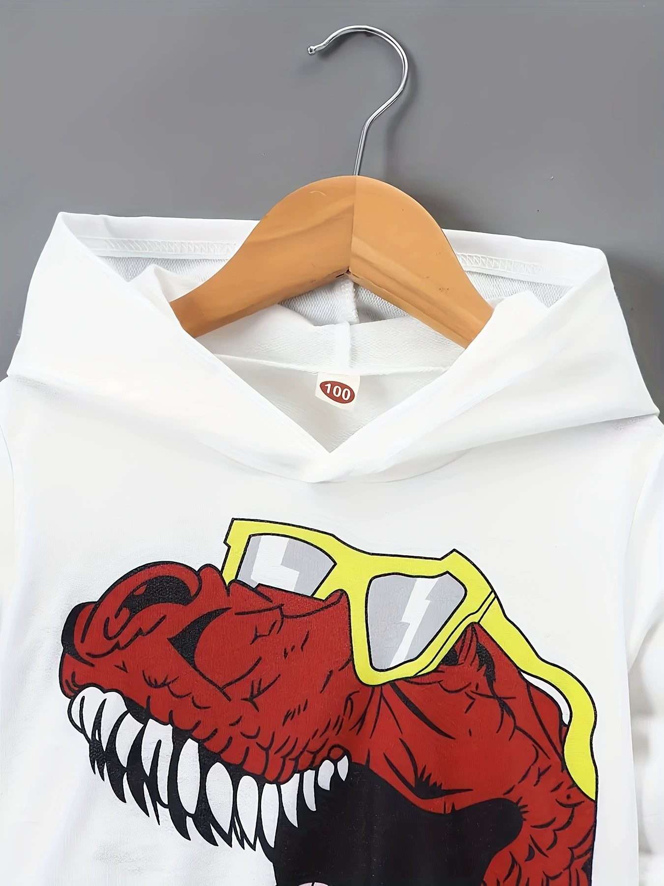 Children's Dinosaur Graphic Hoodie and Pants Set